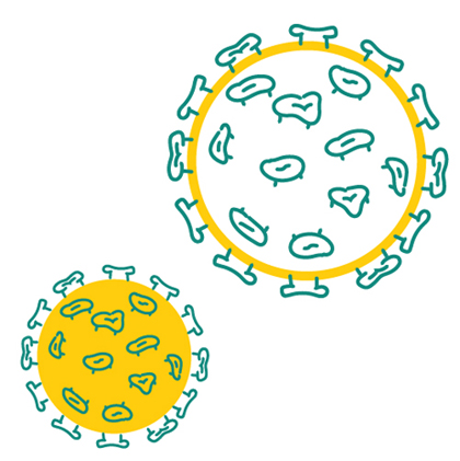 COVID-19 Vaccination